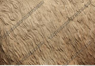 wall stucco bare 0001